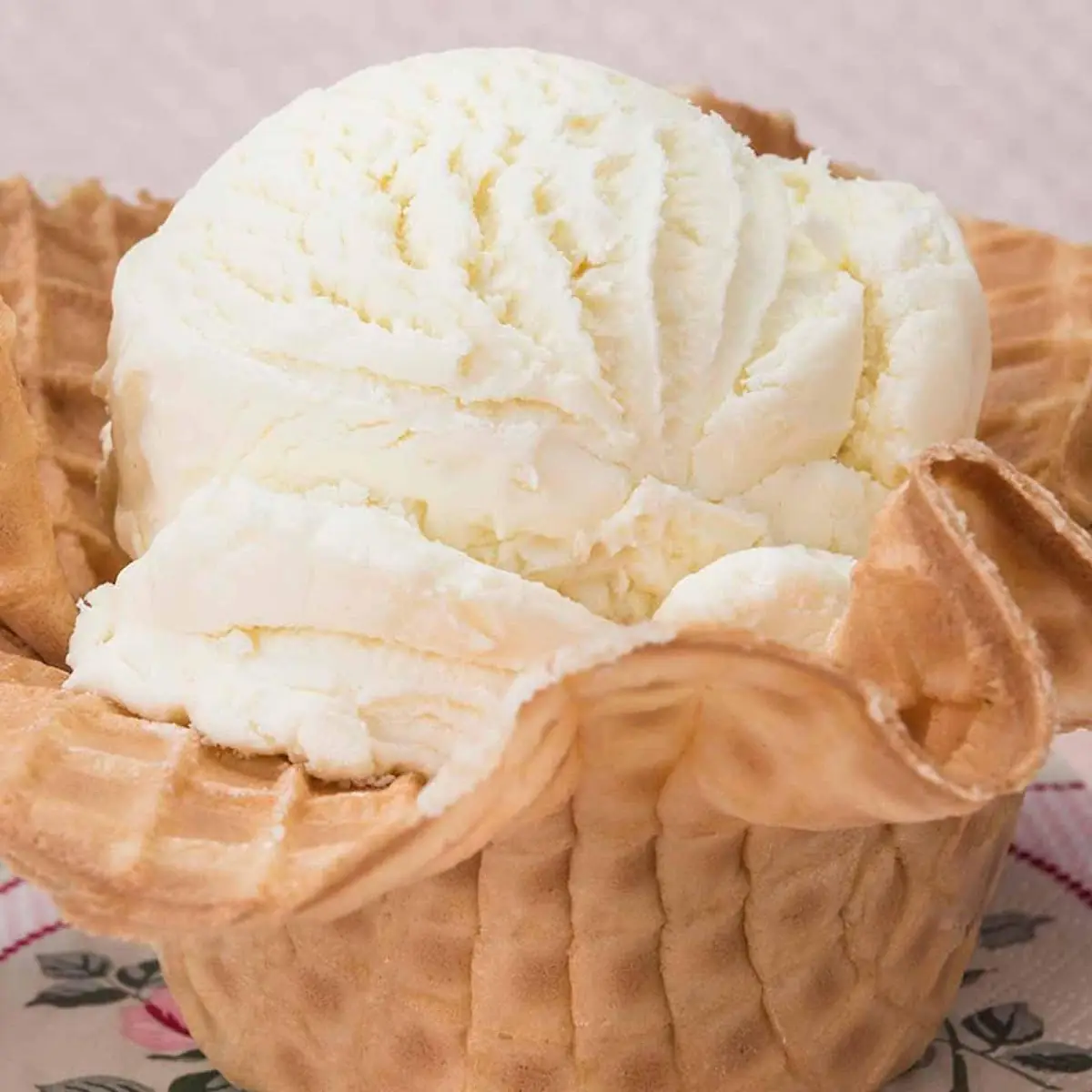 Waffle Cone or Cup