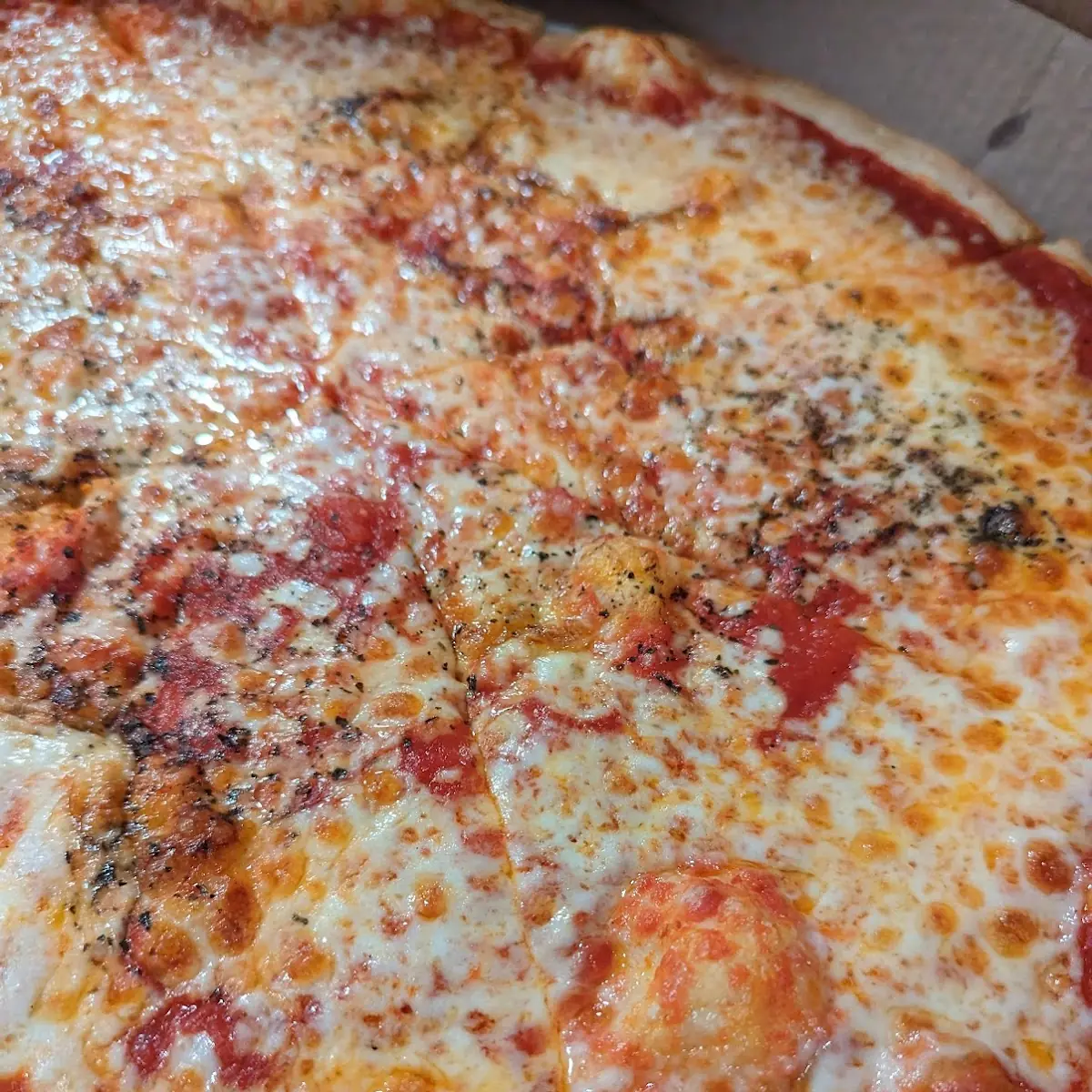 Plain Cheese Pizza