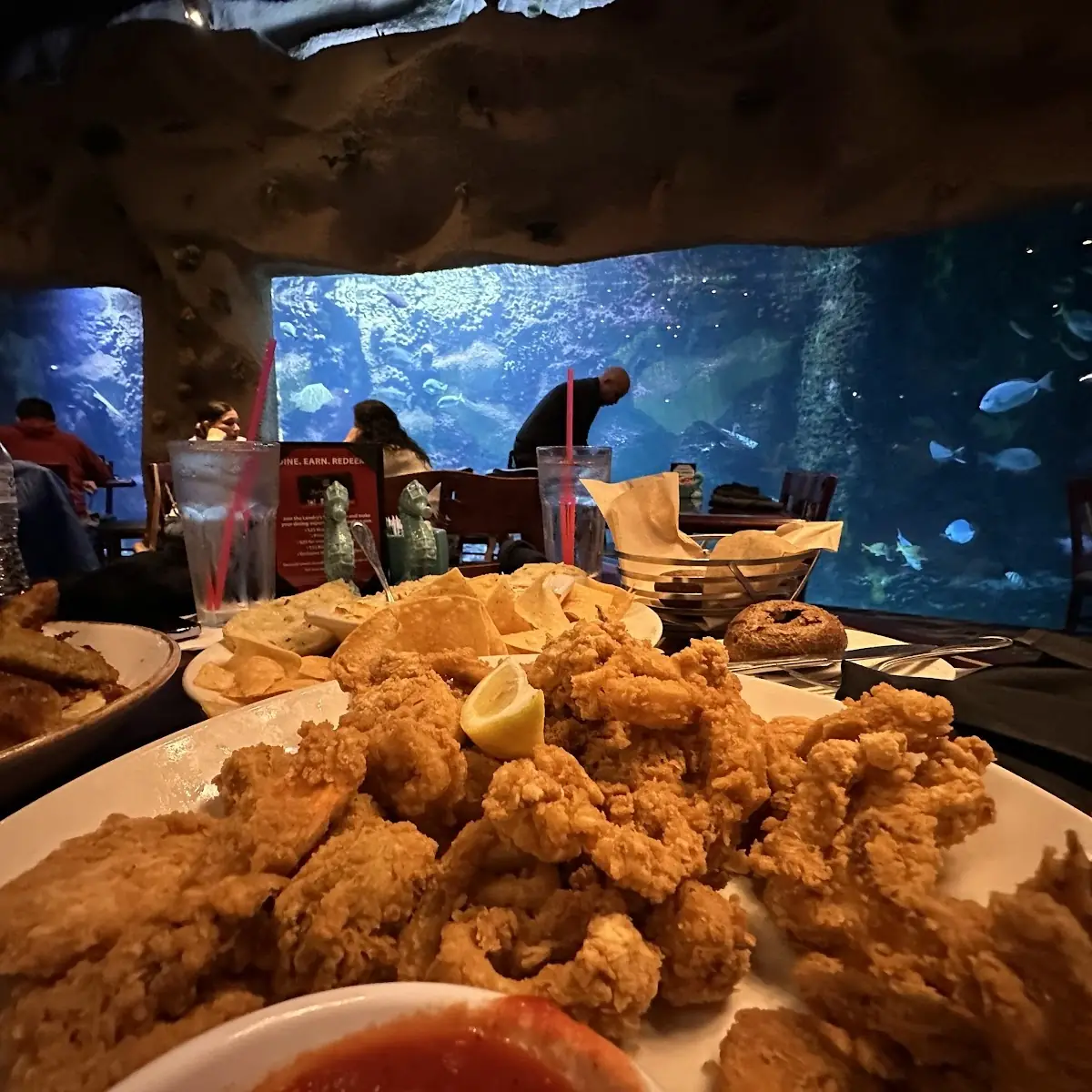 Fired Fried Calamari