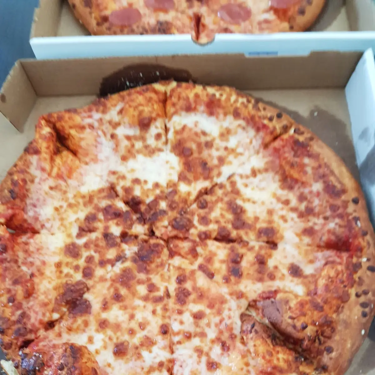 Large Cheese Pizza