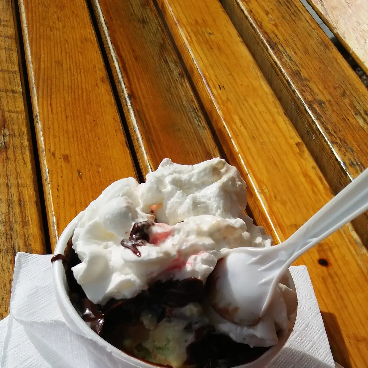 Hot Fudge Sundae