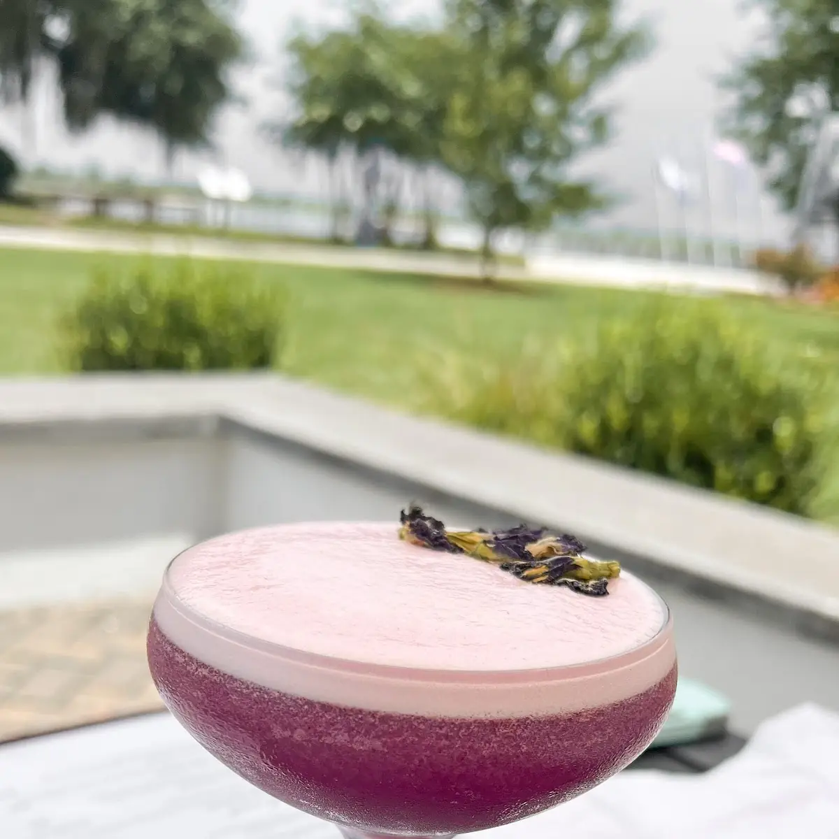 Indigo Butterfly Drink