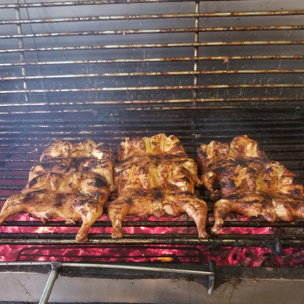 BBQ Chicken