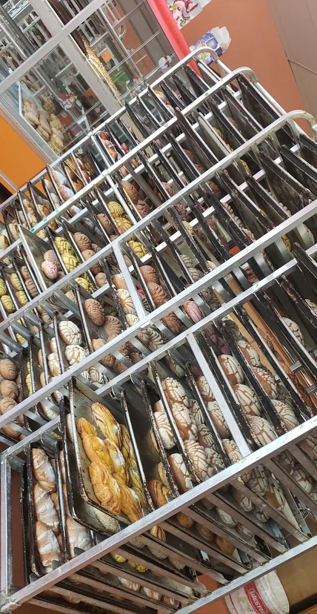 Pan Dulce Conchas