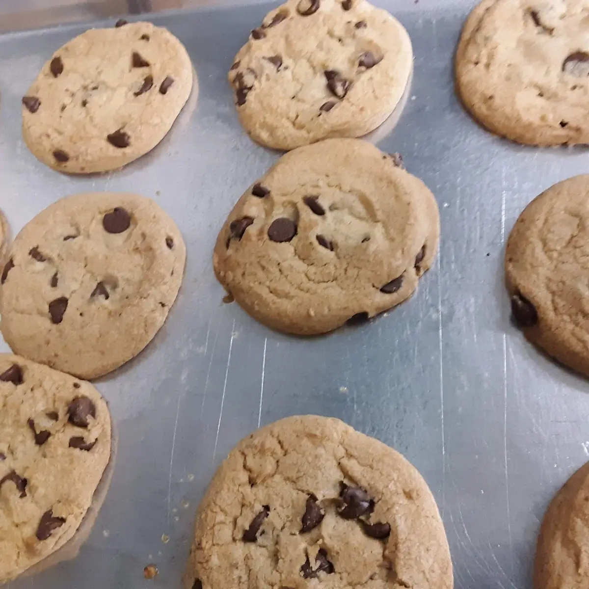 Home Baked Chocolate Chip Cookie