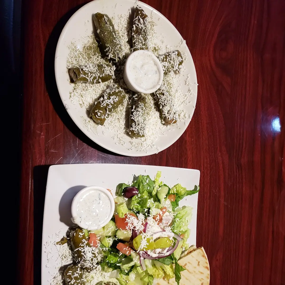 Vegetarian Platter and Stuffed Grape Leaves