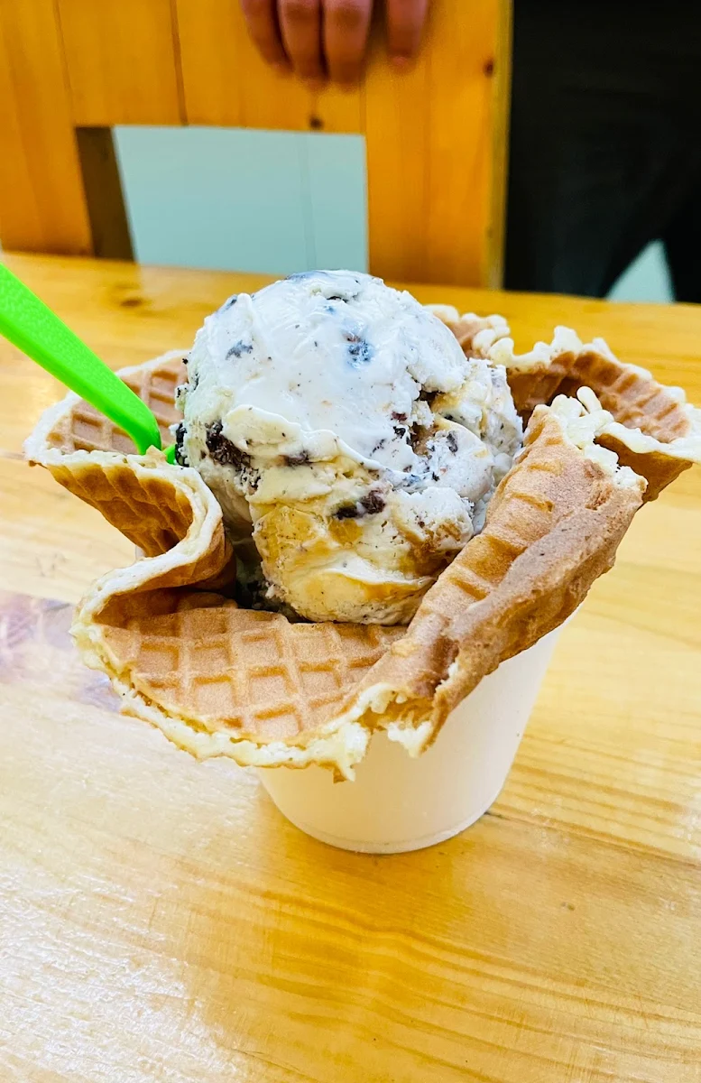 Fried Ice Cream