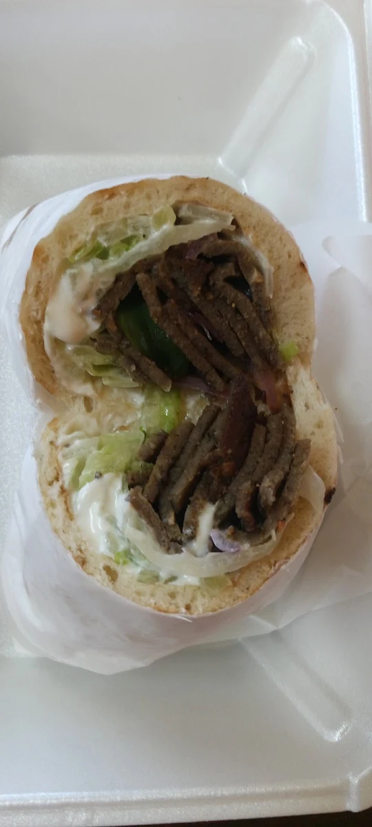 Lamb Gyro Sandwich & Tilapia