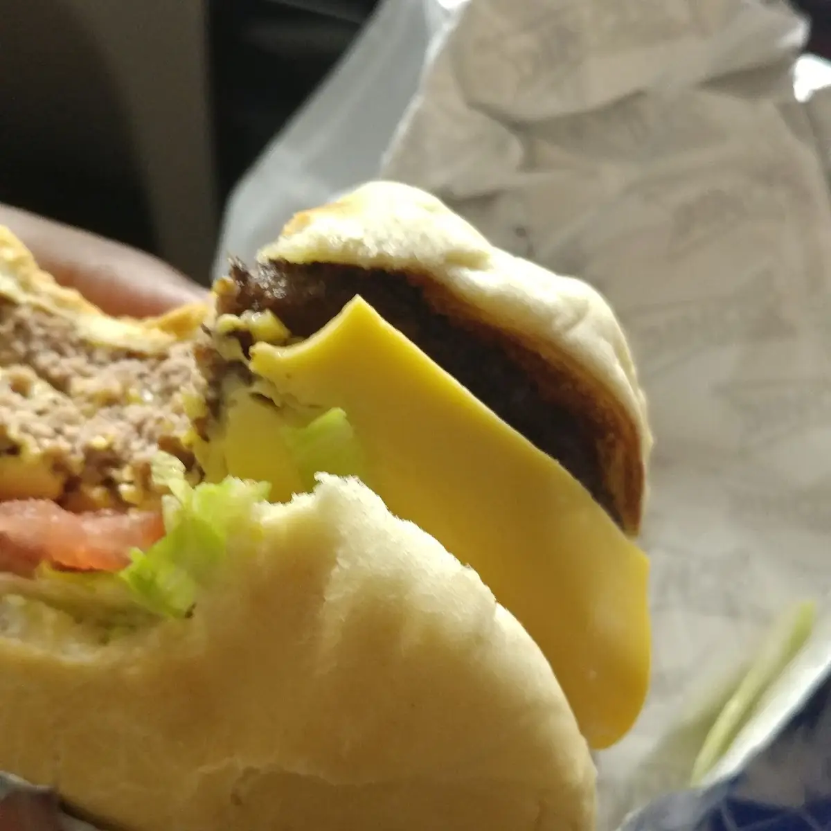 Double Cheese Burger