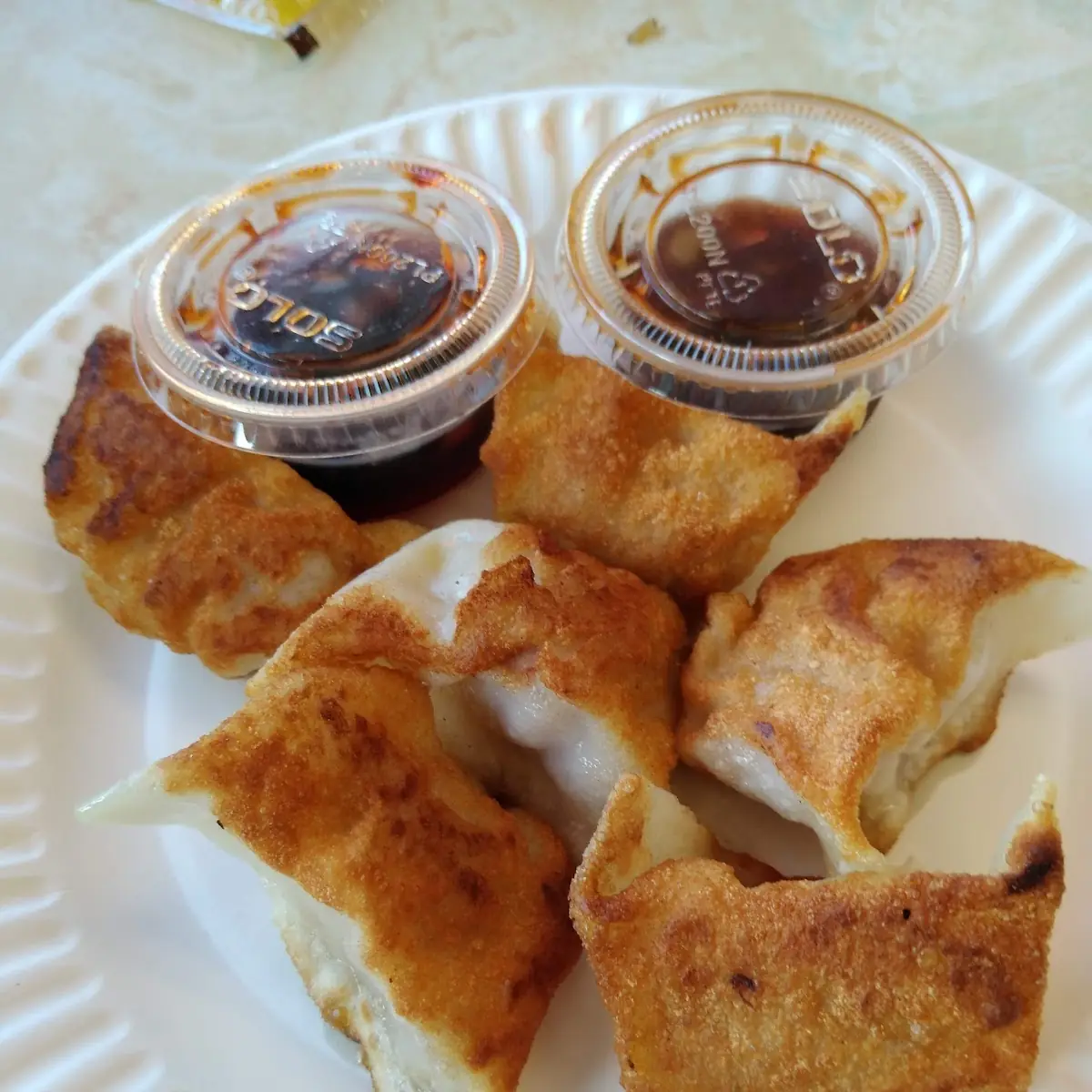Fried Dumplings