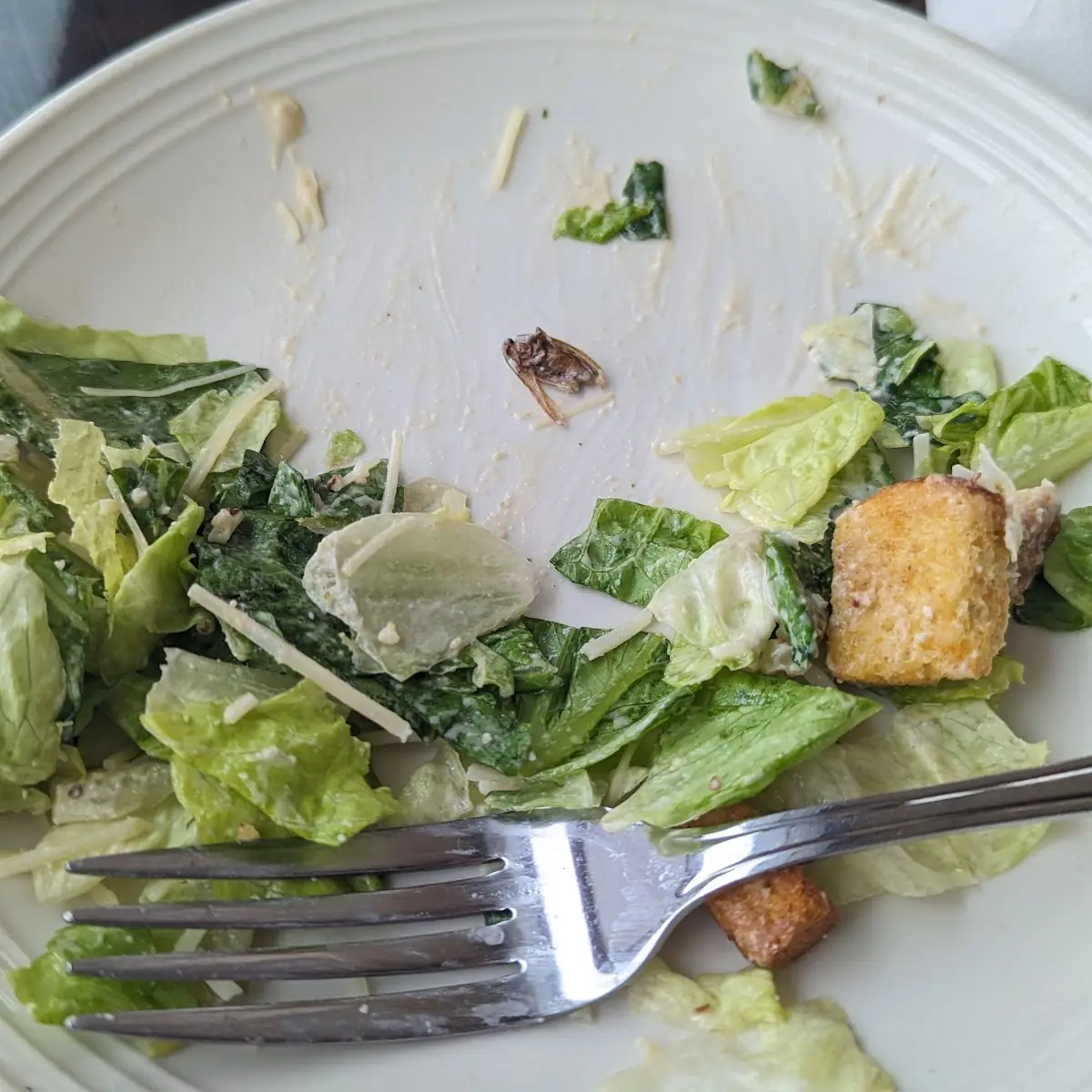 Chicken Caesar Salad