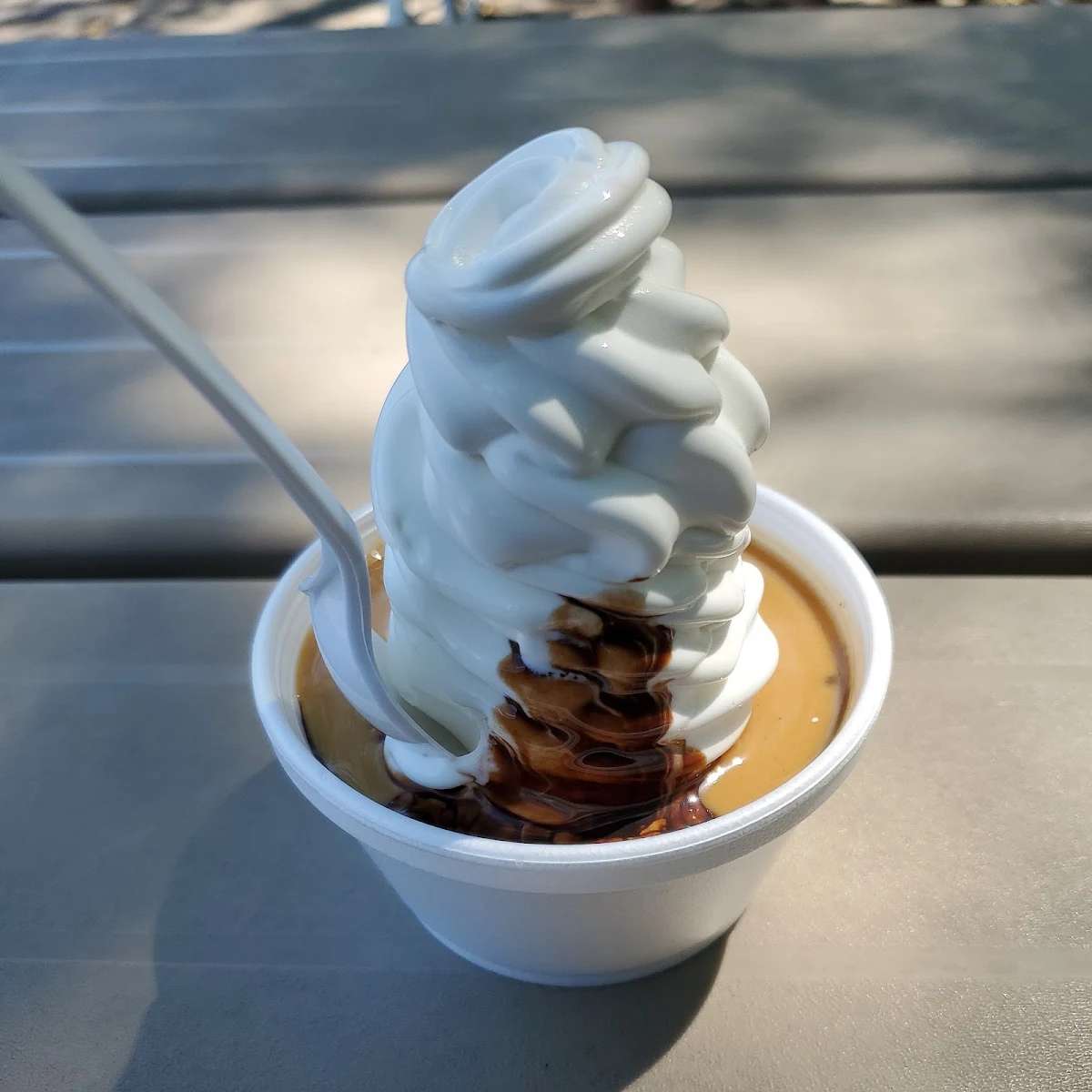 Chocolate Peanut Butter Sundae