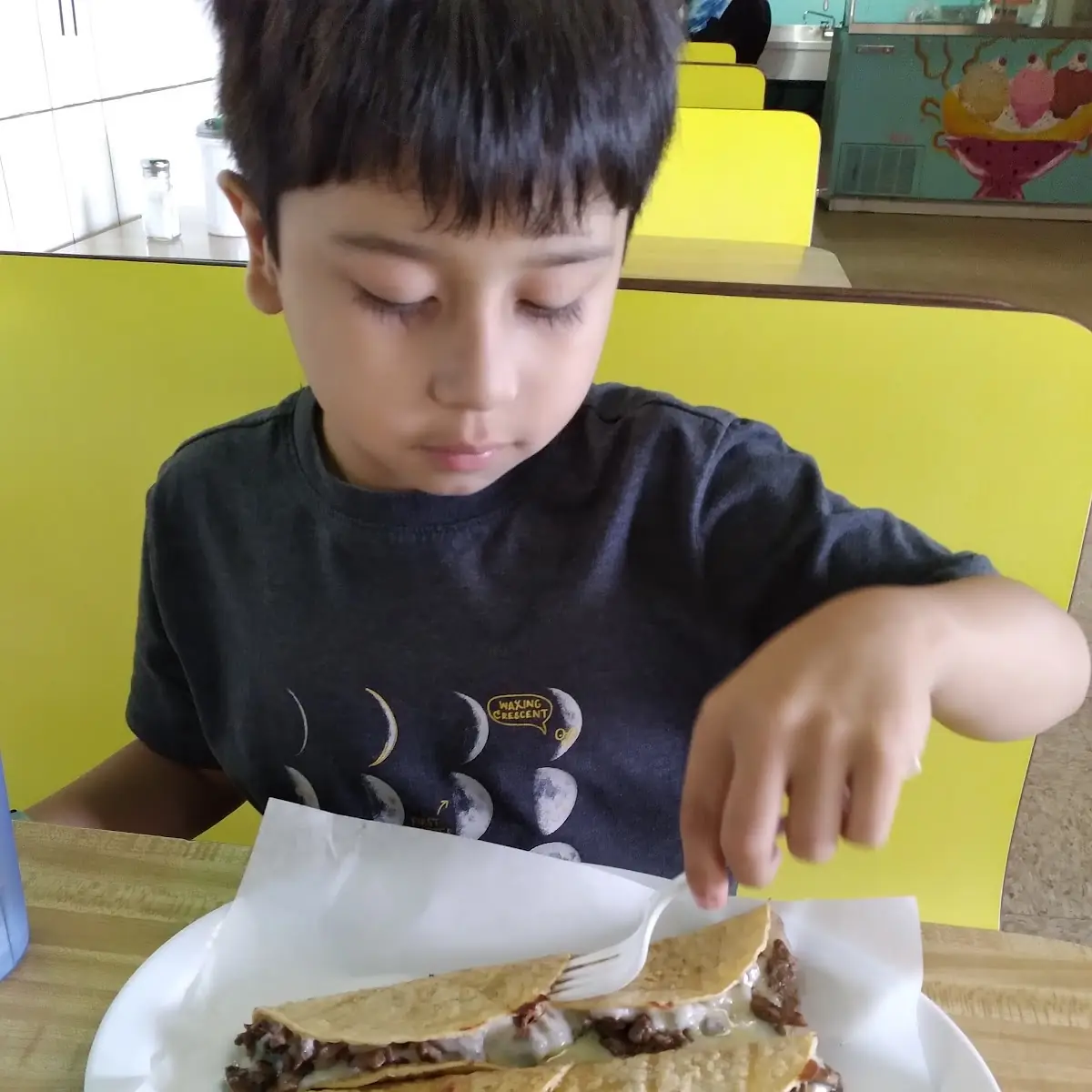 Steak Quesadilla
