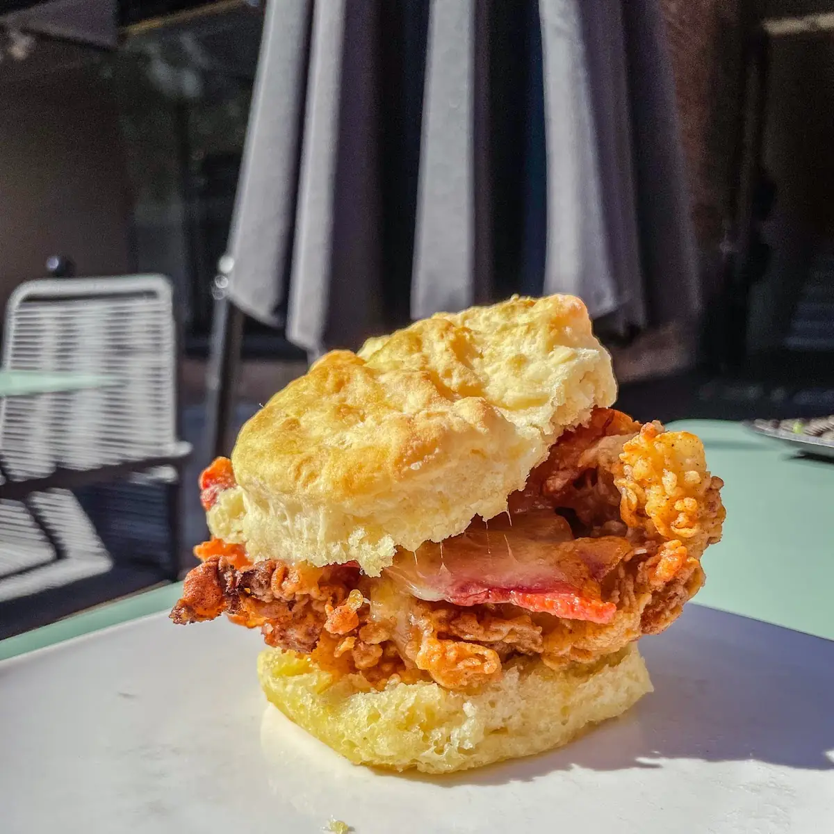 The Chicken Biscuit