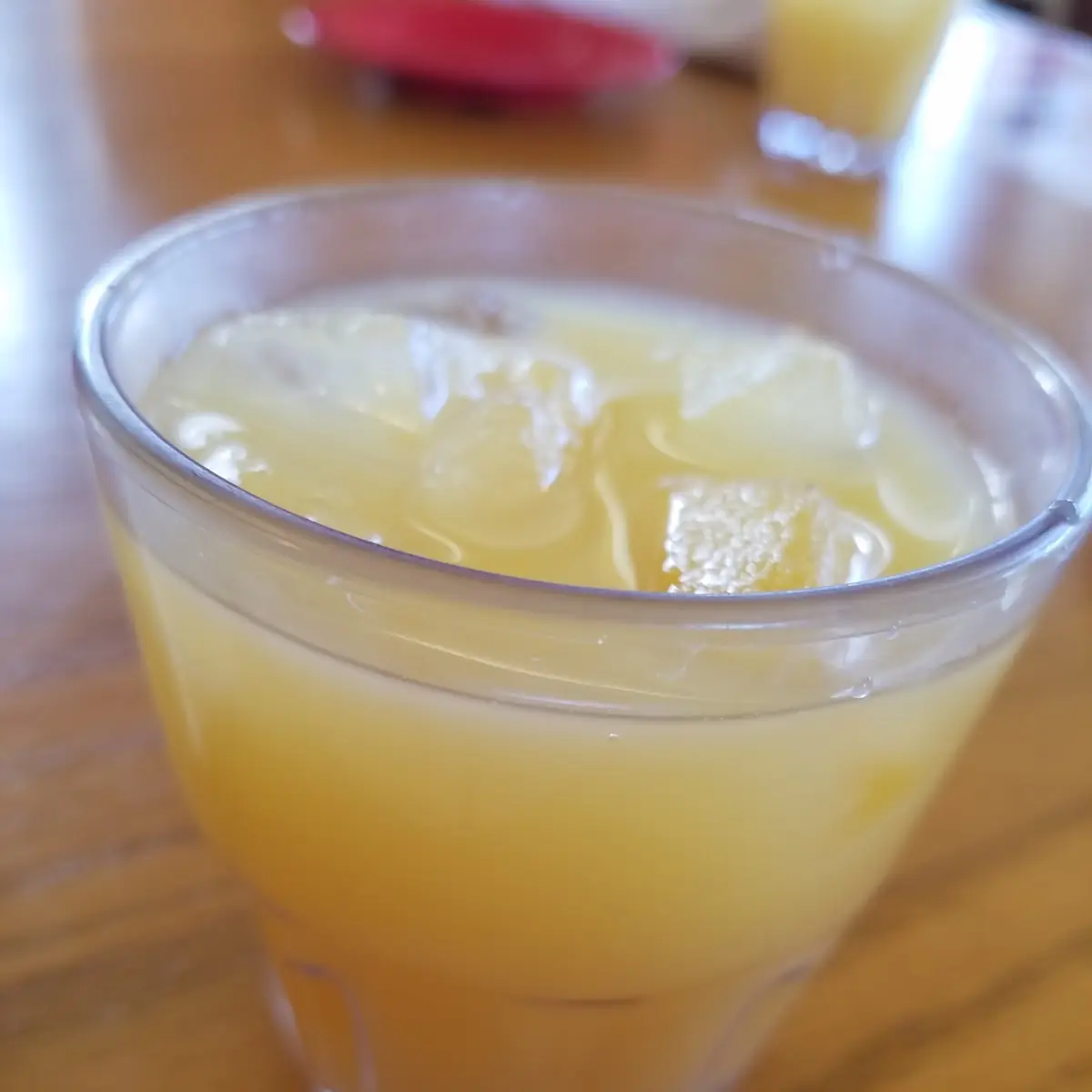 Iced Orange Juice Drink