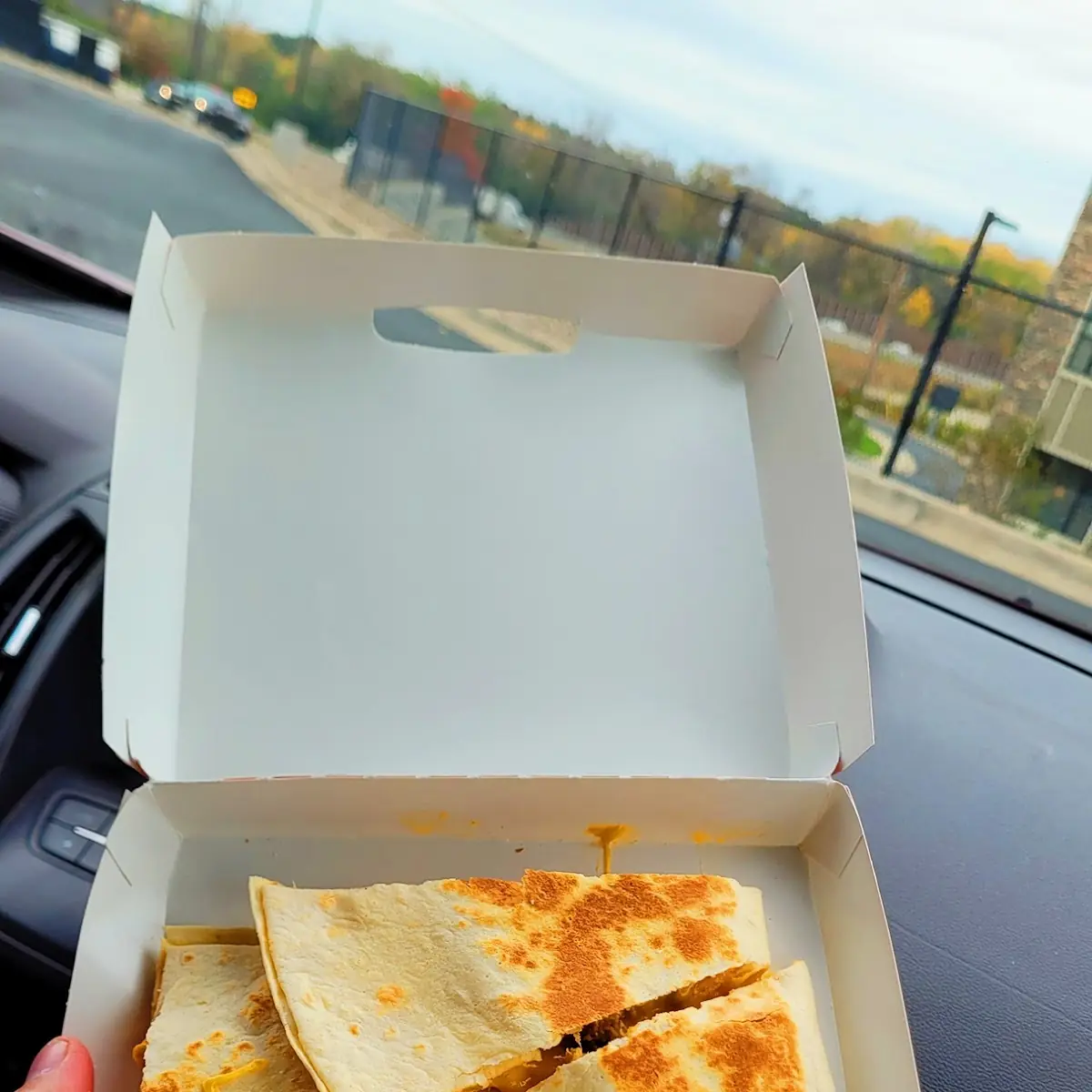 Chicken Quesadilla