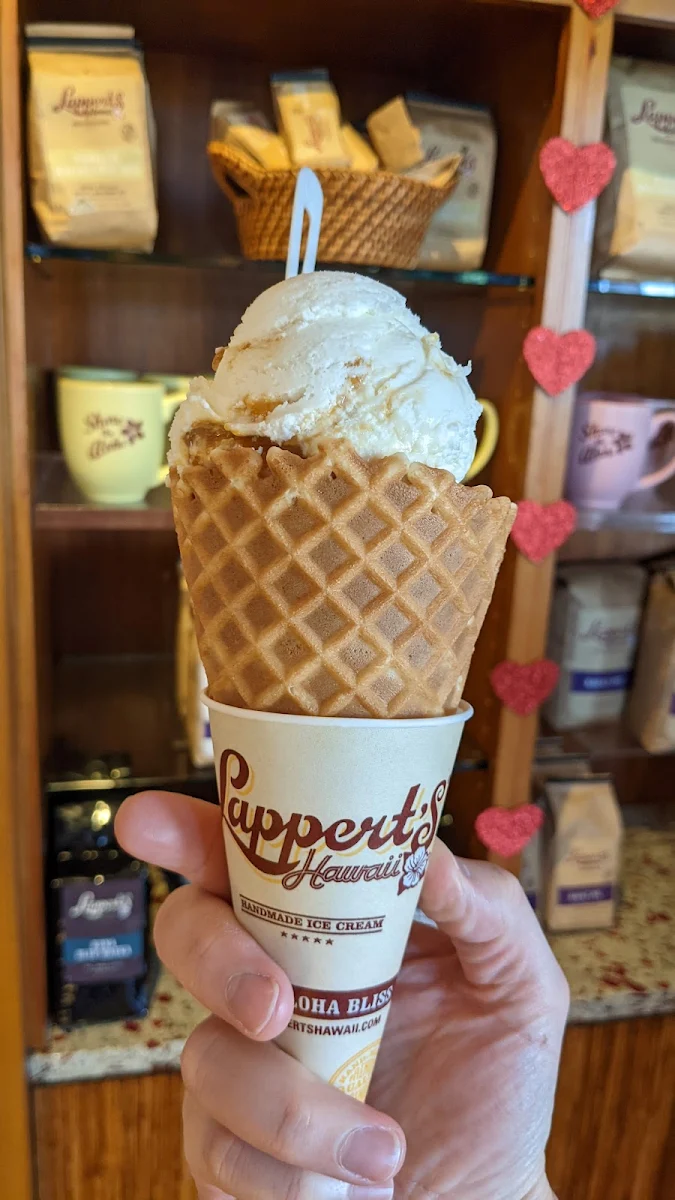 Chocolate Macadamia Nut