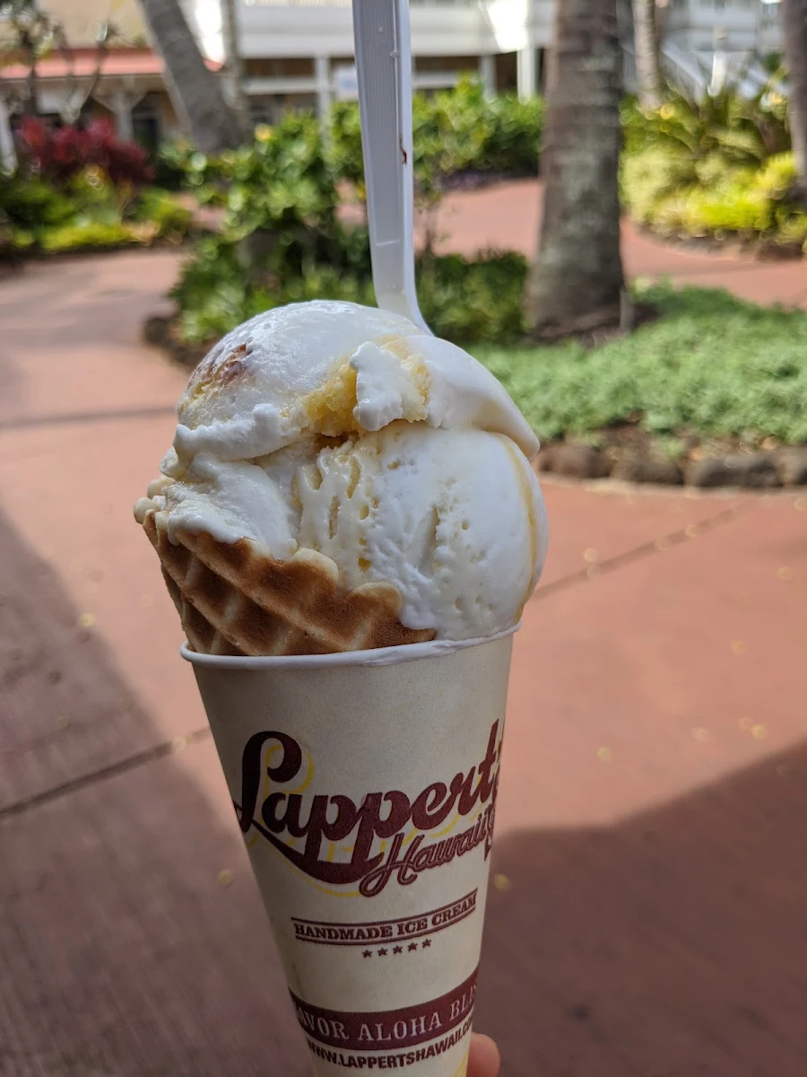 Coconut and Passion Fruit Sorbet