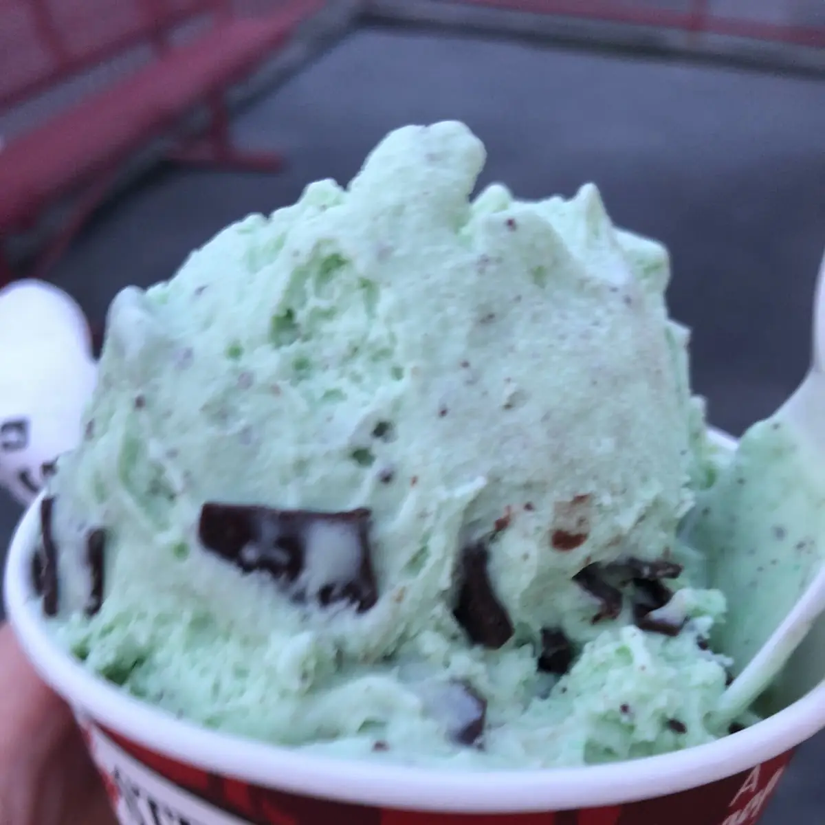 Mint Chocolate Chip Ice Cream