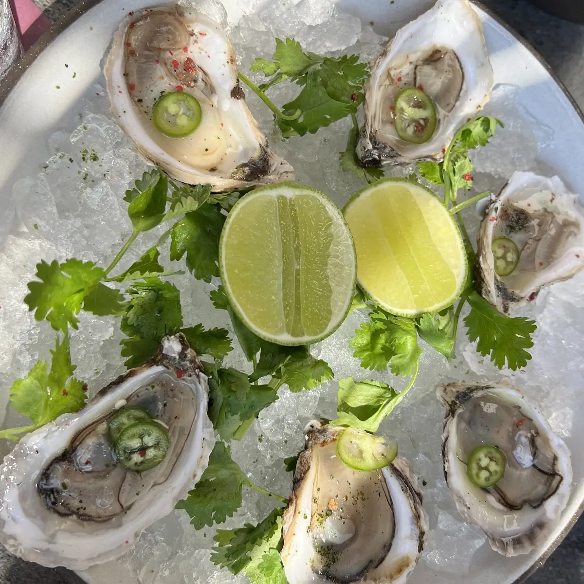 Oysters on the Half Shell