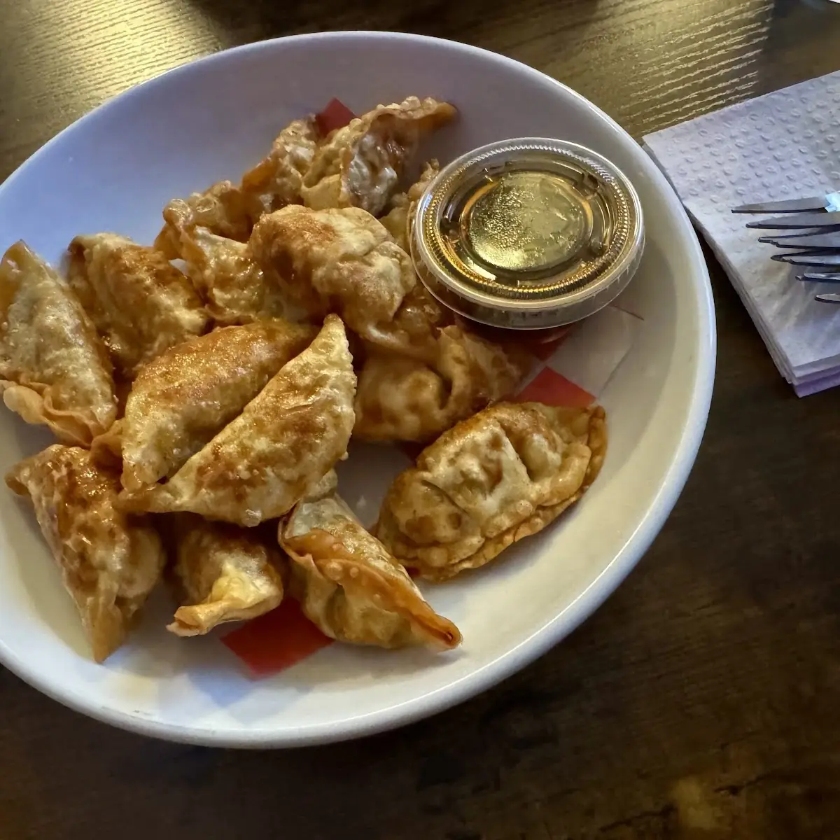 Fried Pork Dumplings