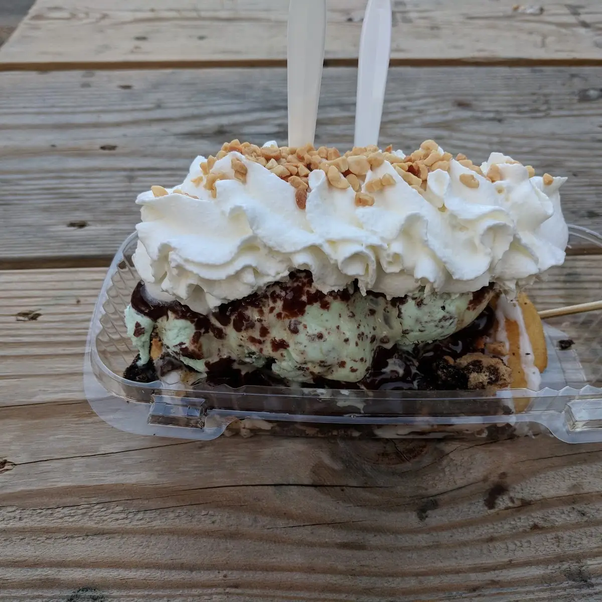 Turtle Sundae