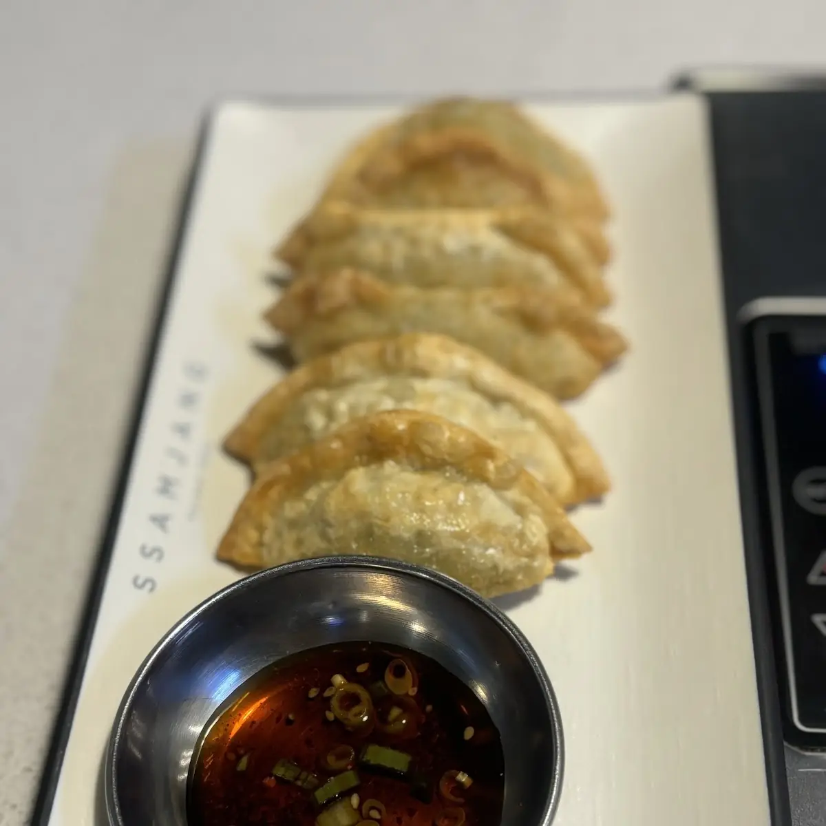 Fried Dumpling