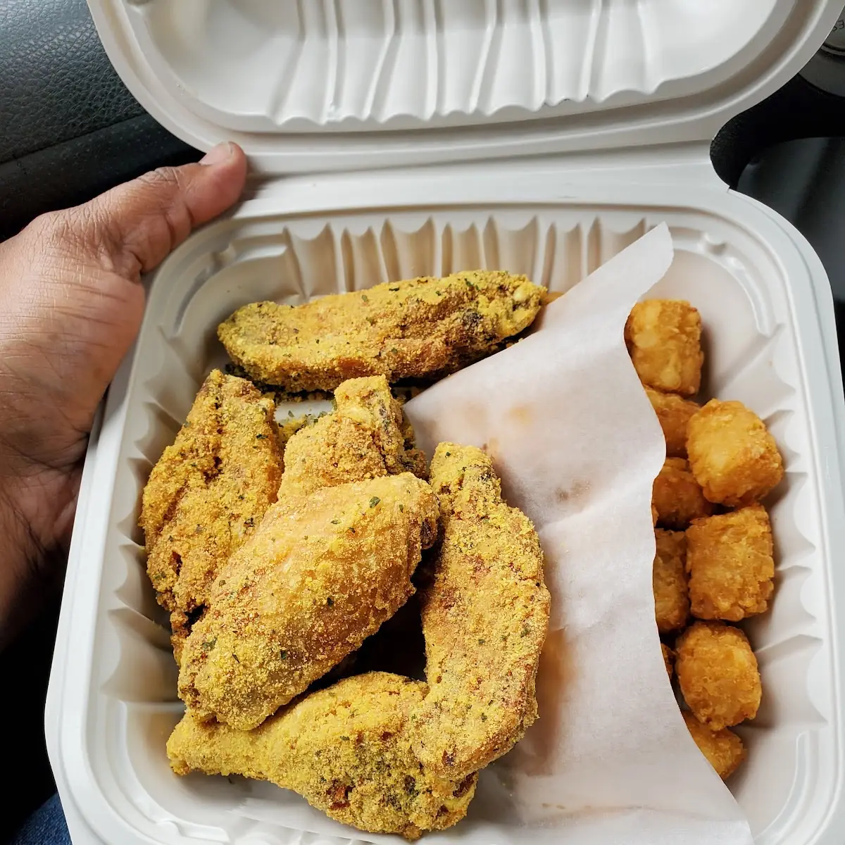 Garlic Parmesan Wings and Tater Tots