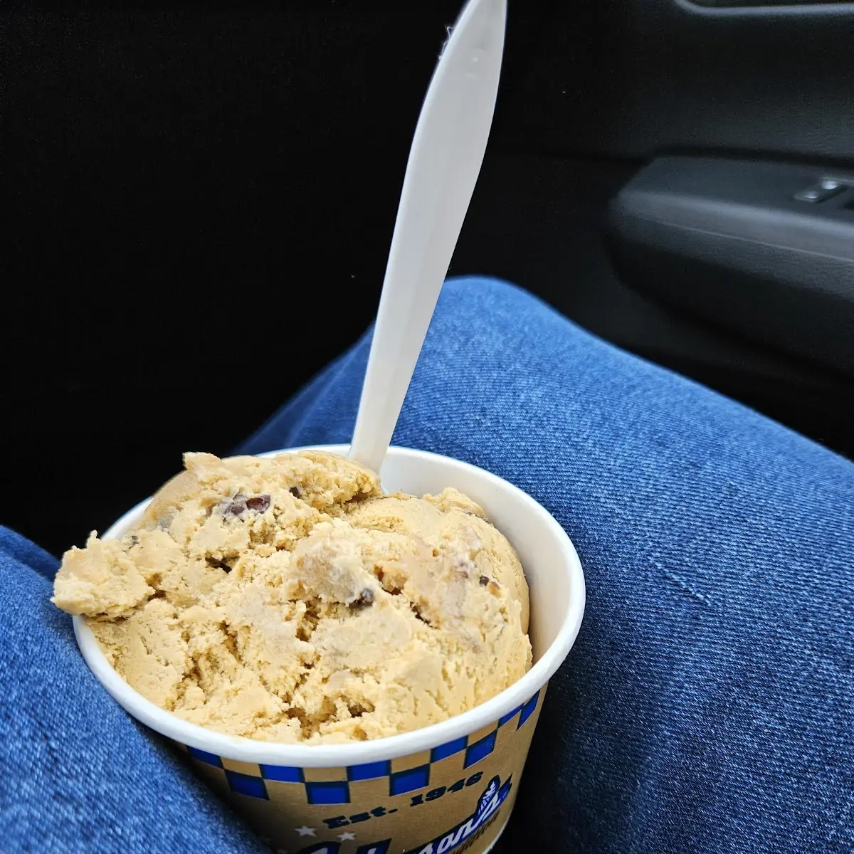 Graham Cracker Ice Cream