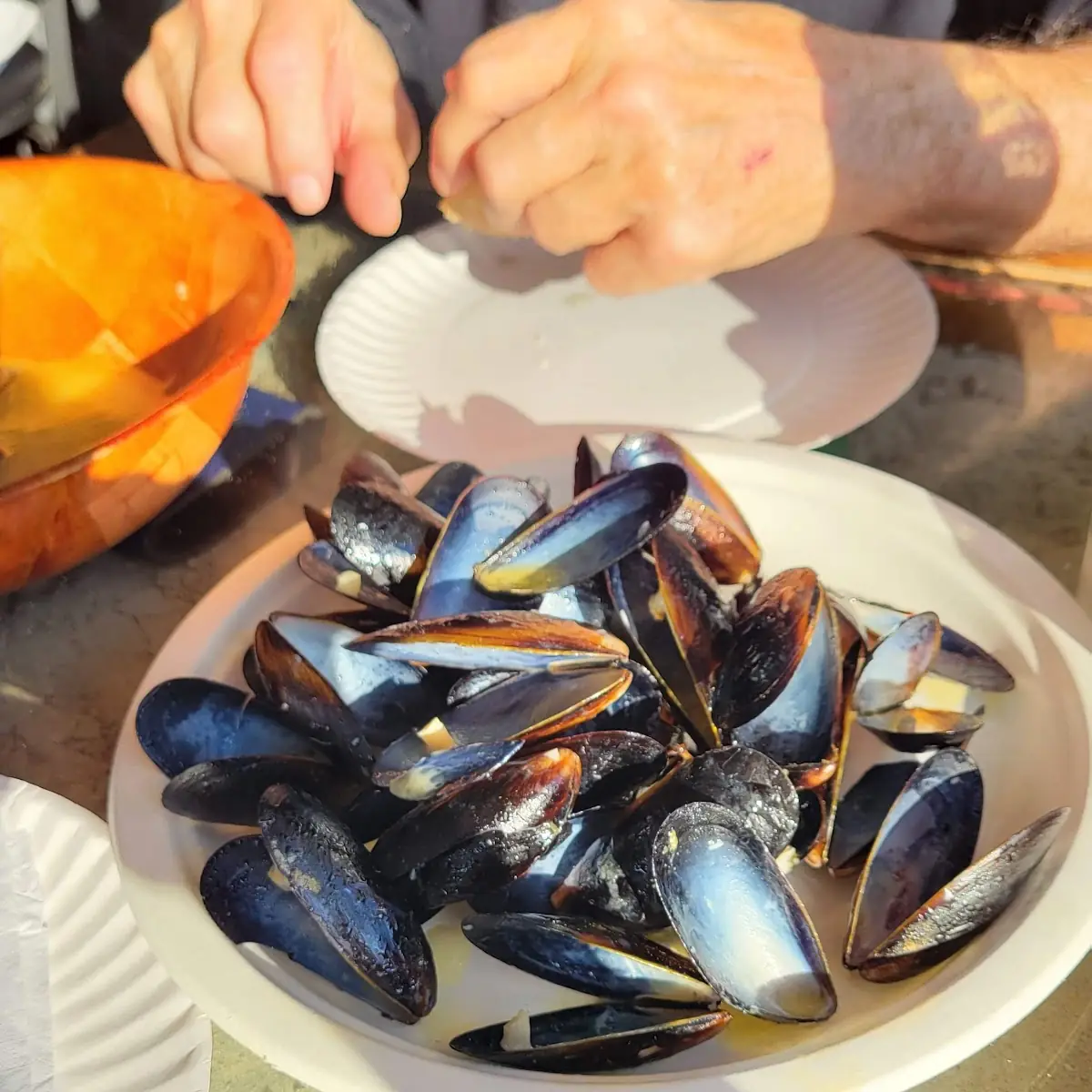 Mussels Marinara