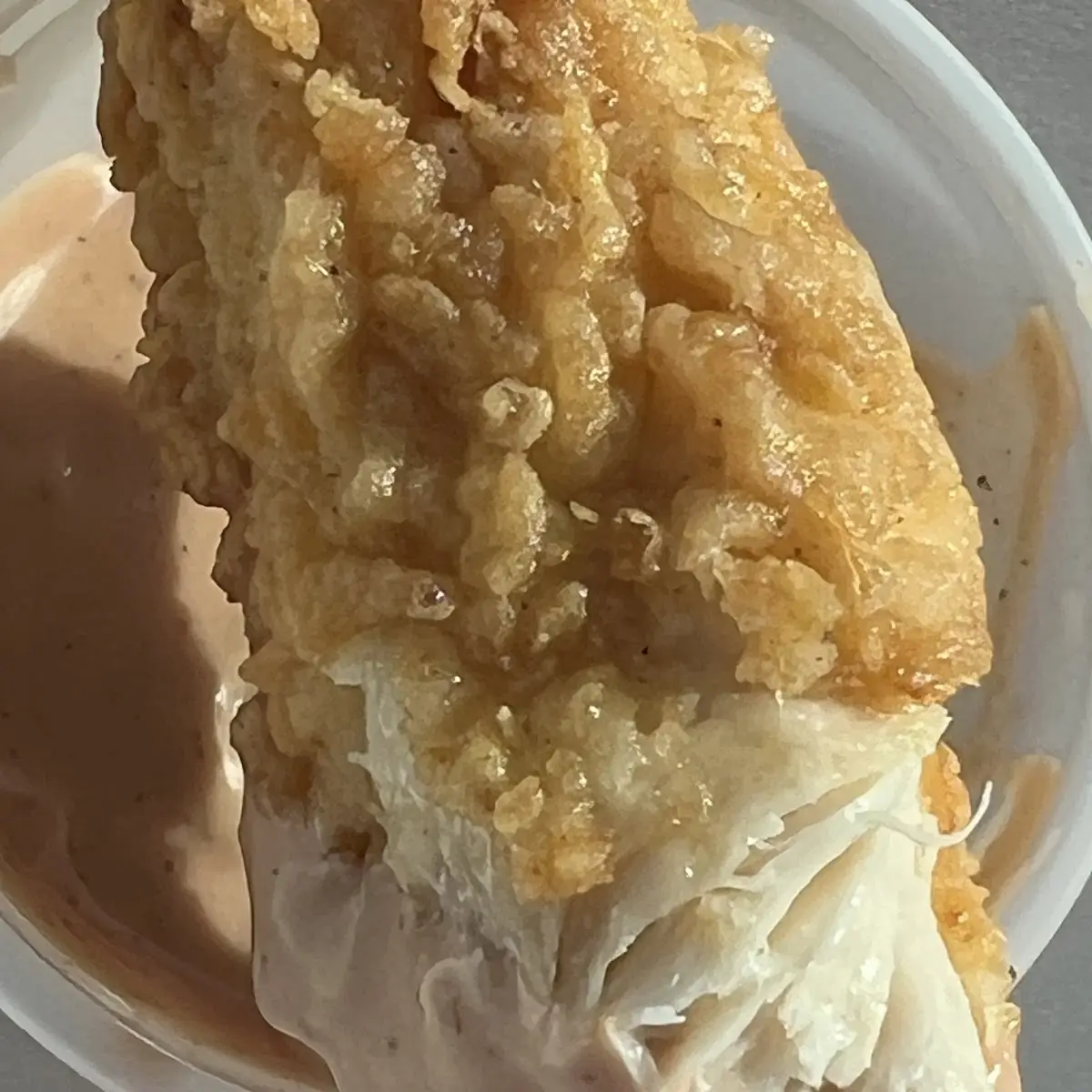 Juicy Chicken Finger