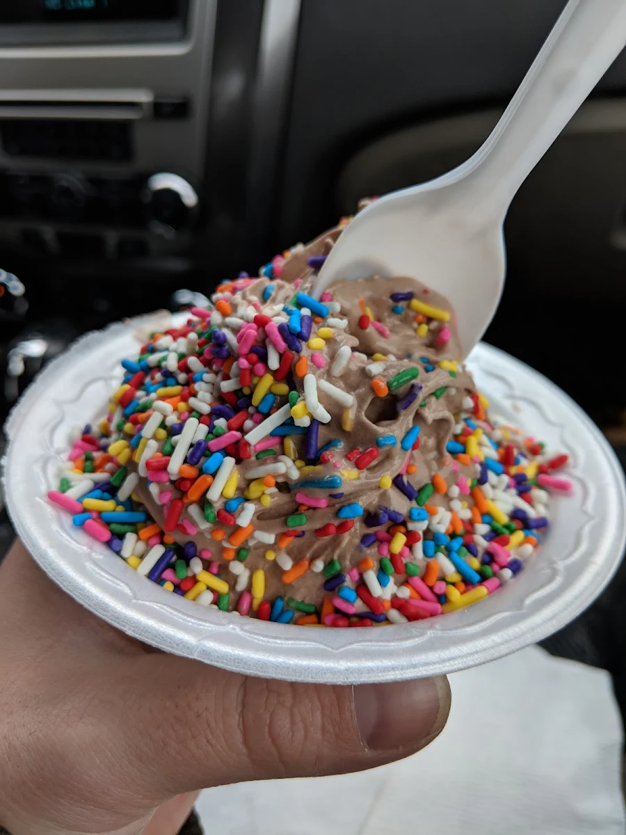 Chocolate Ice Cream with Rainbow Sprinkles