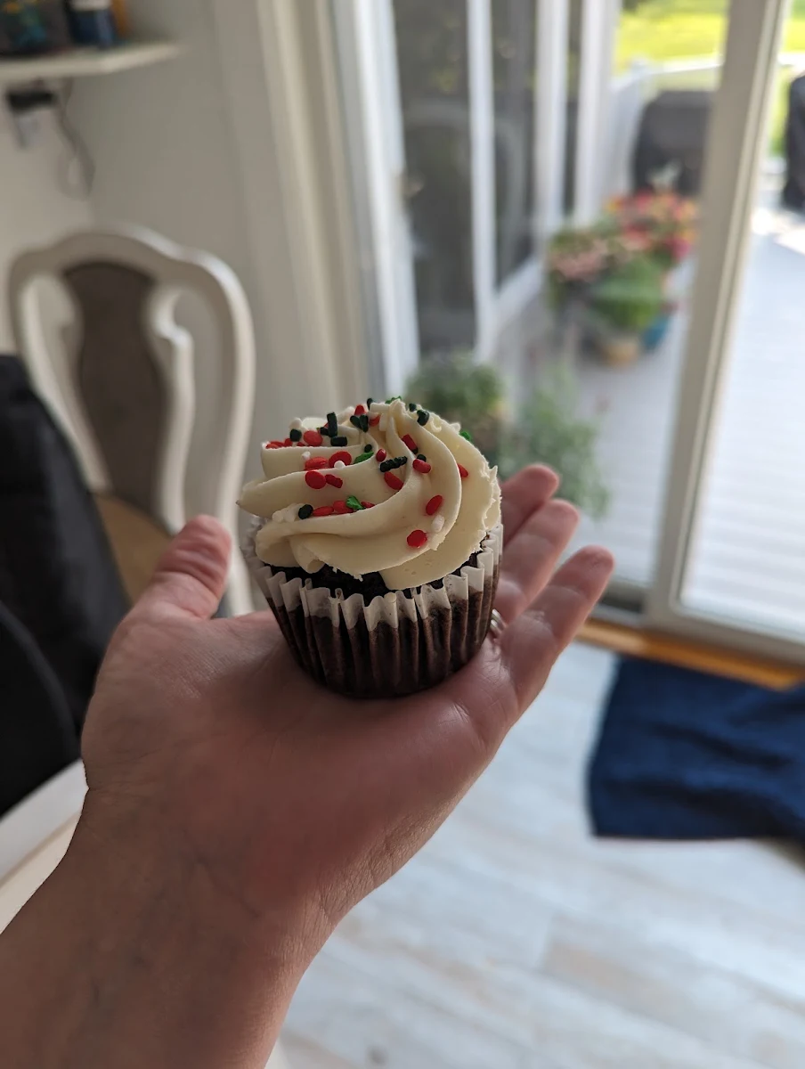 Chocolate Cupcake