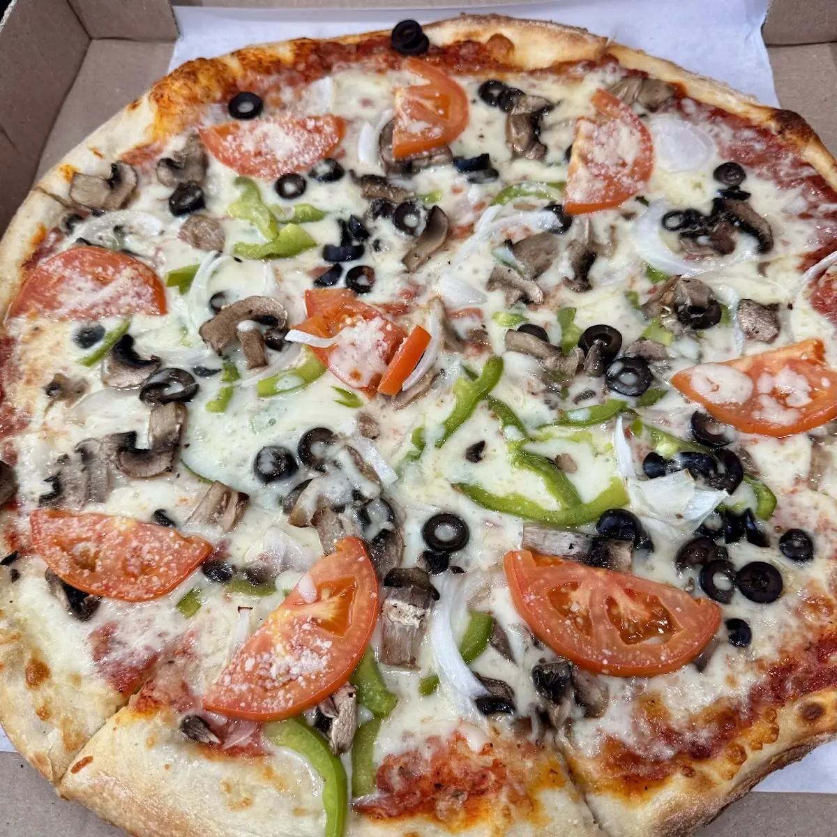 Vegetarian Pizza 16'