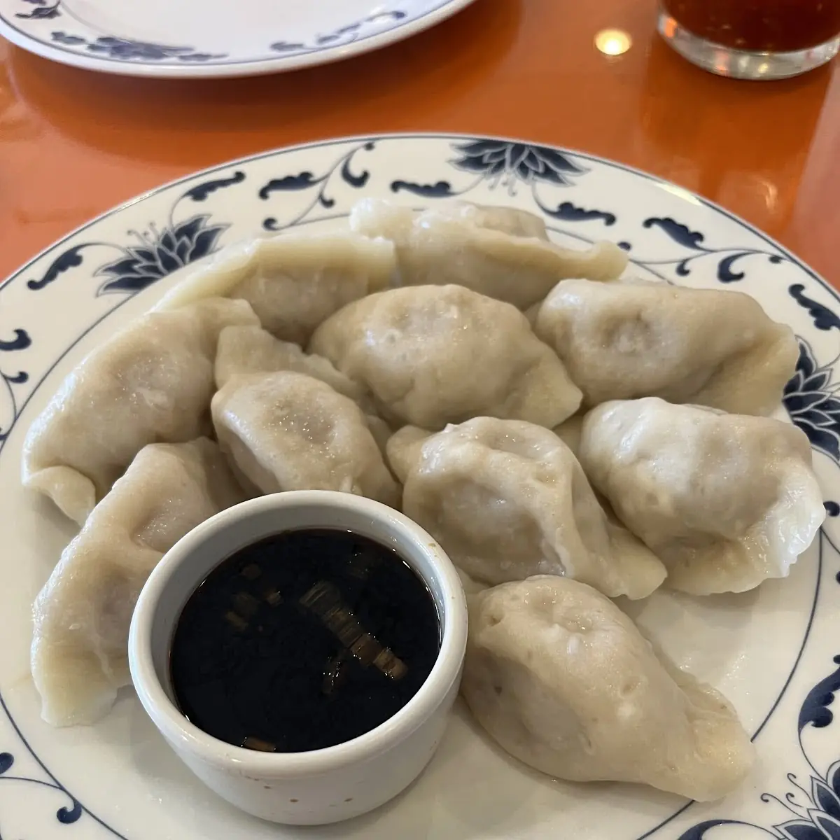 Fried Dumpling