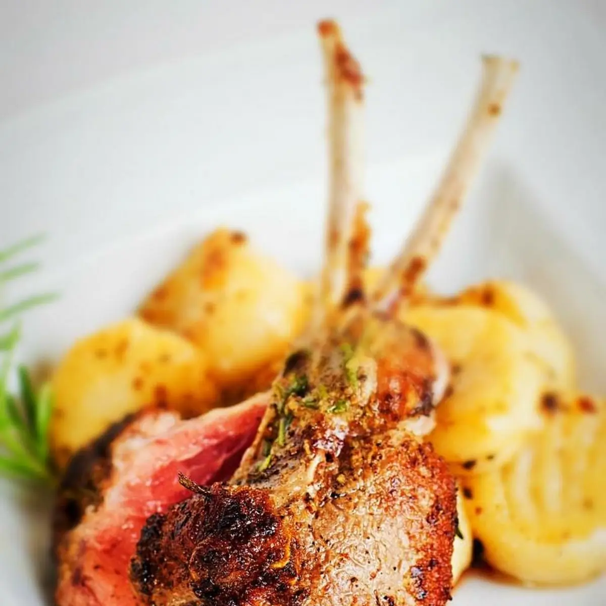 Lamb Chops