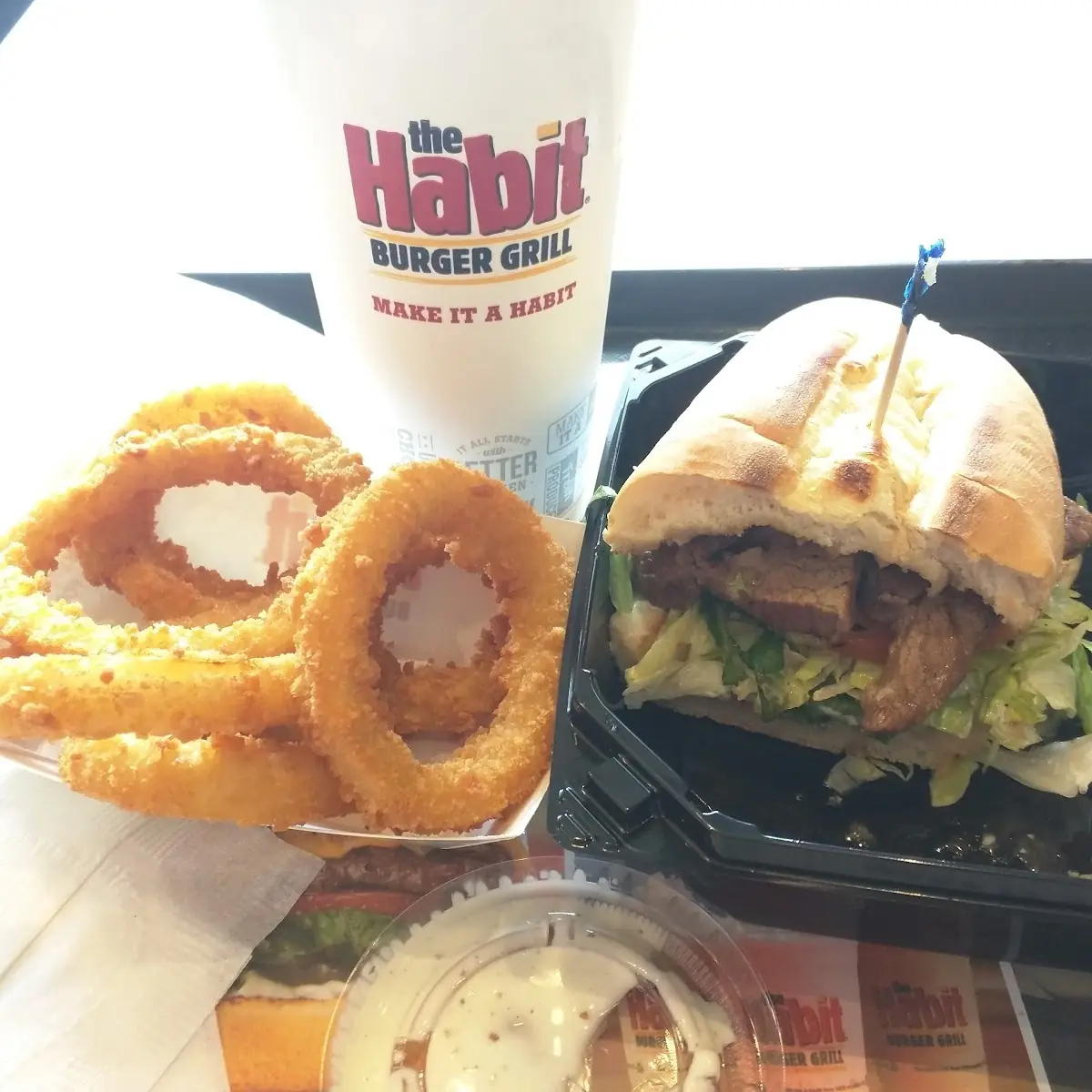 Tri Tip and Onion Rings