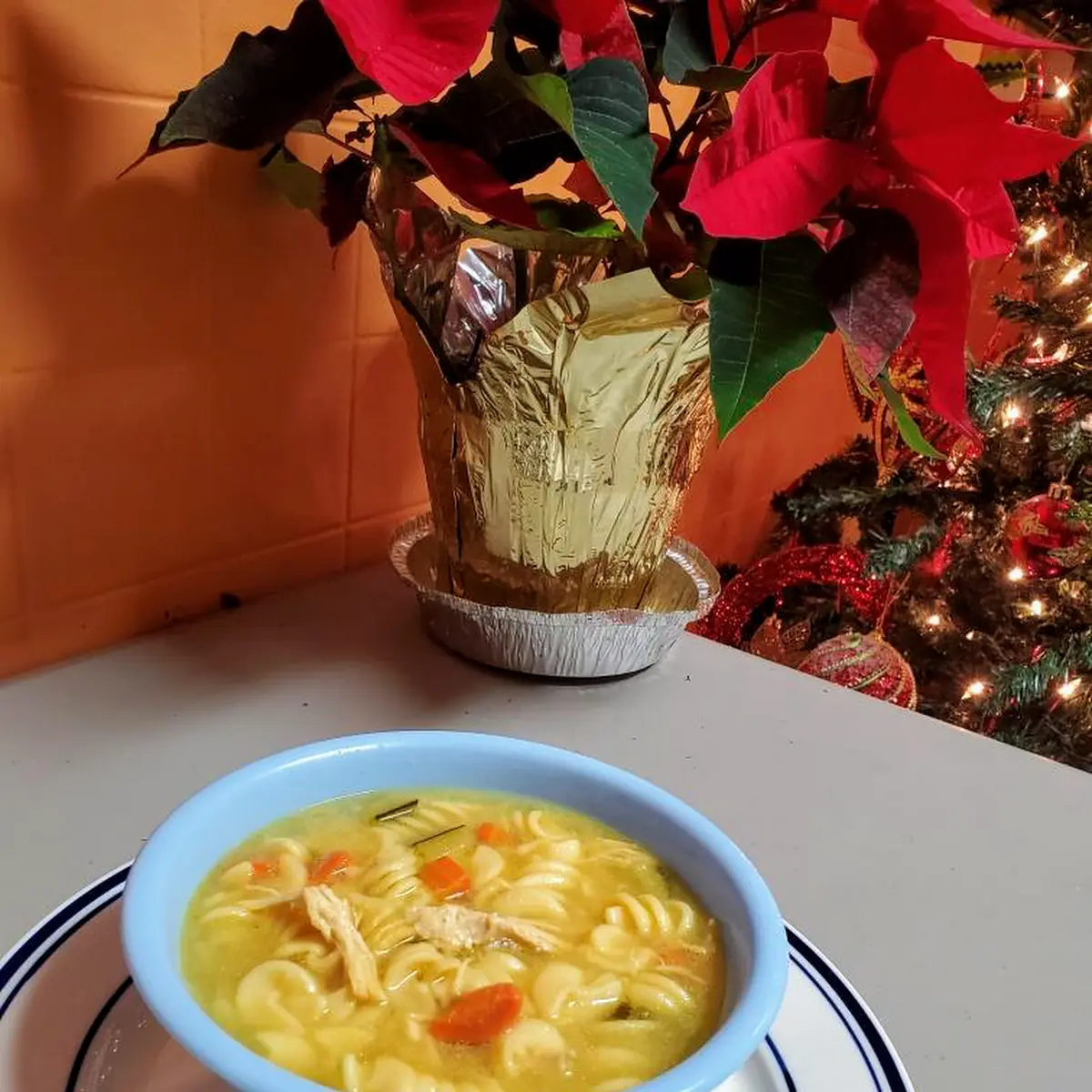 Chicken Soup