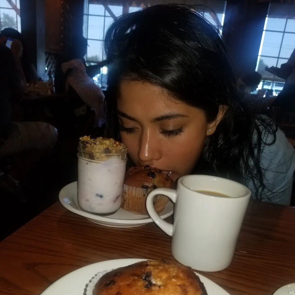 Blueberry Muffin