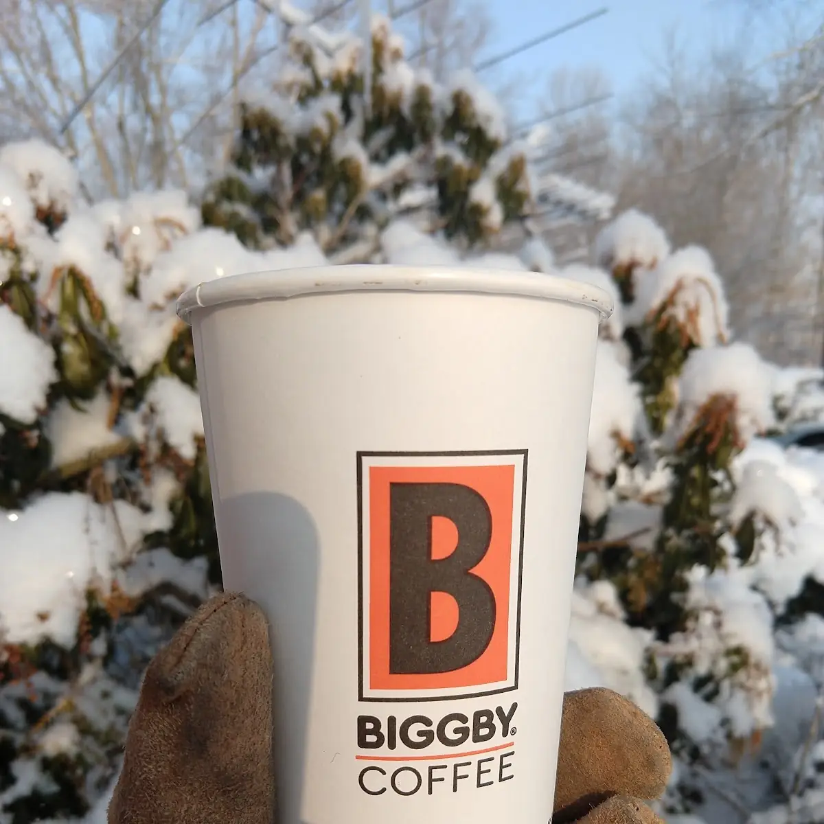 Dark Roast Bigby Coffee