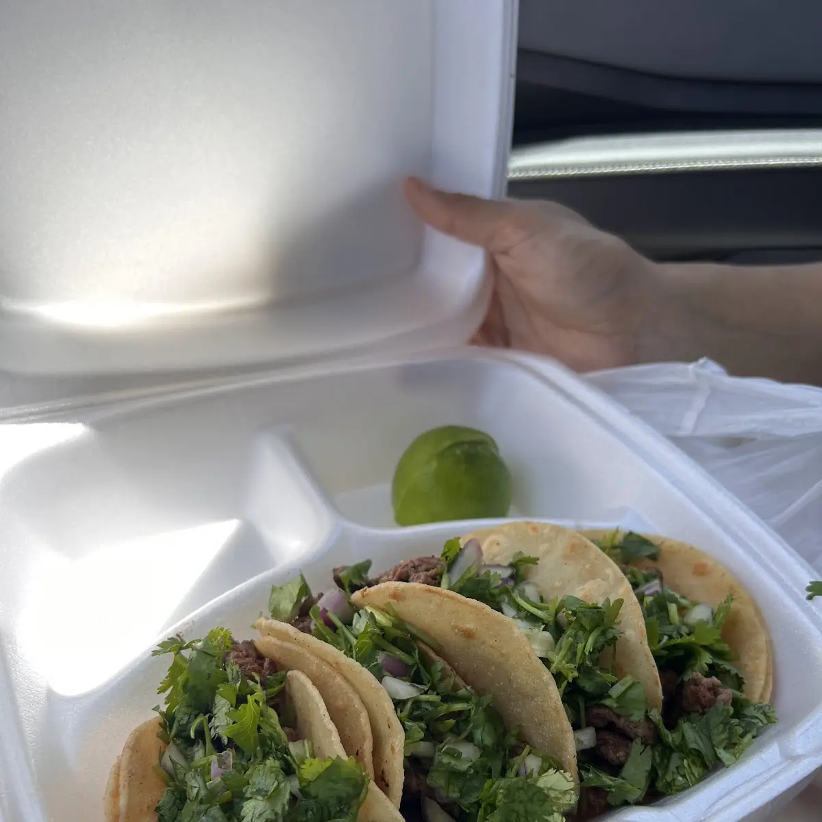 Steak Street Tacos with Cilantro