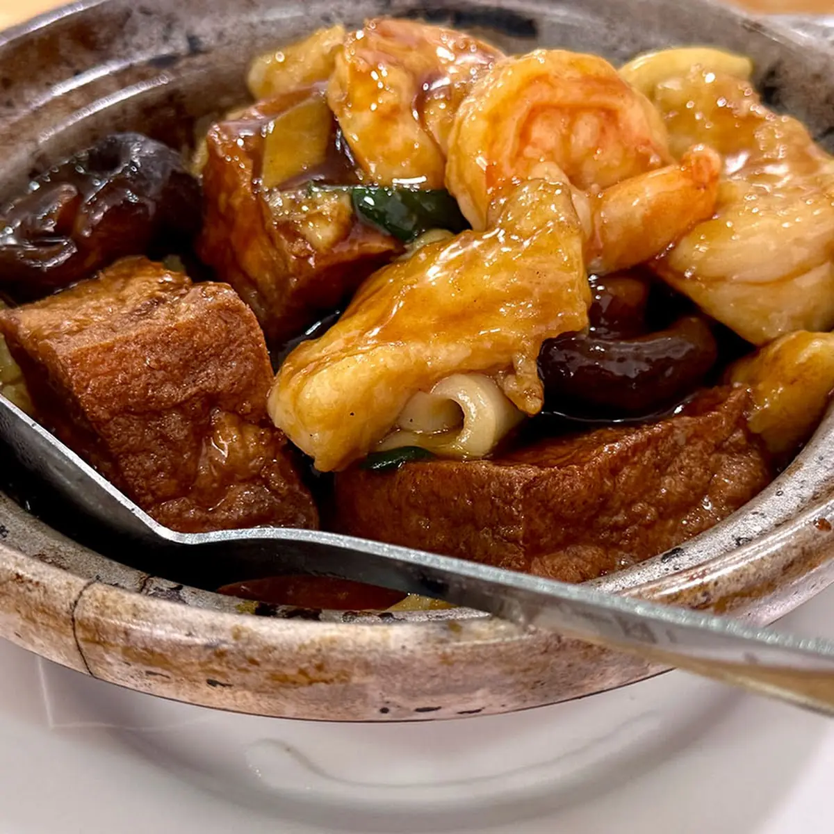Bean Curd and Mushroom Clay Pot