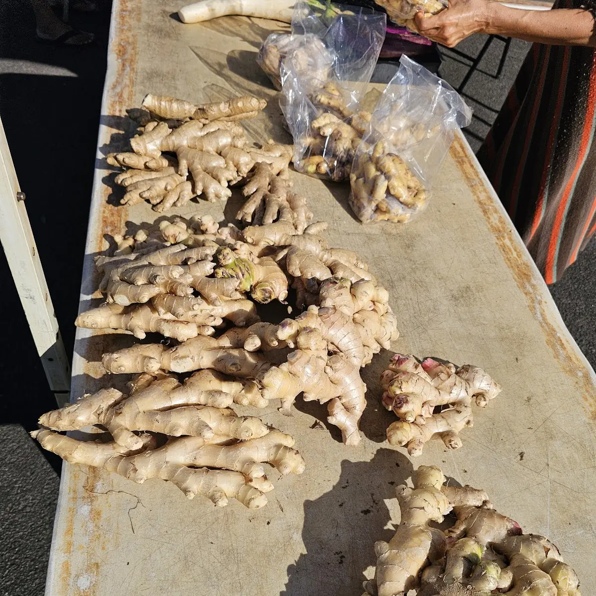 Fresh Ginger Root