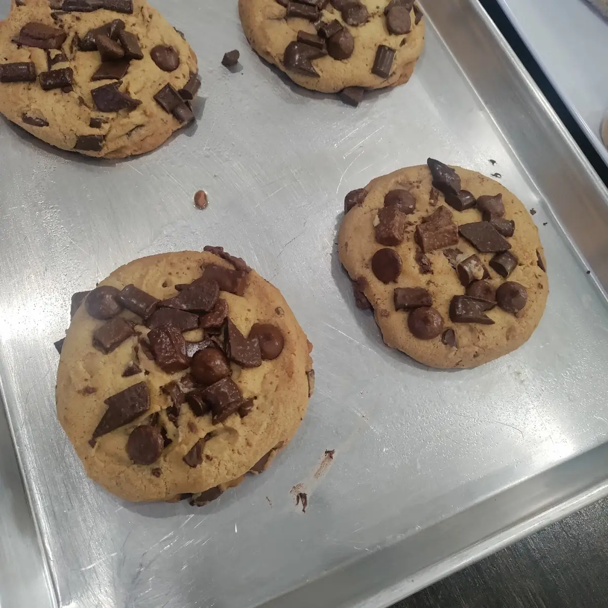 Chocolate Cookie Large