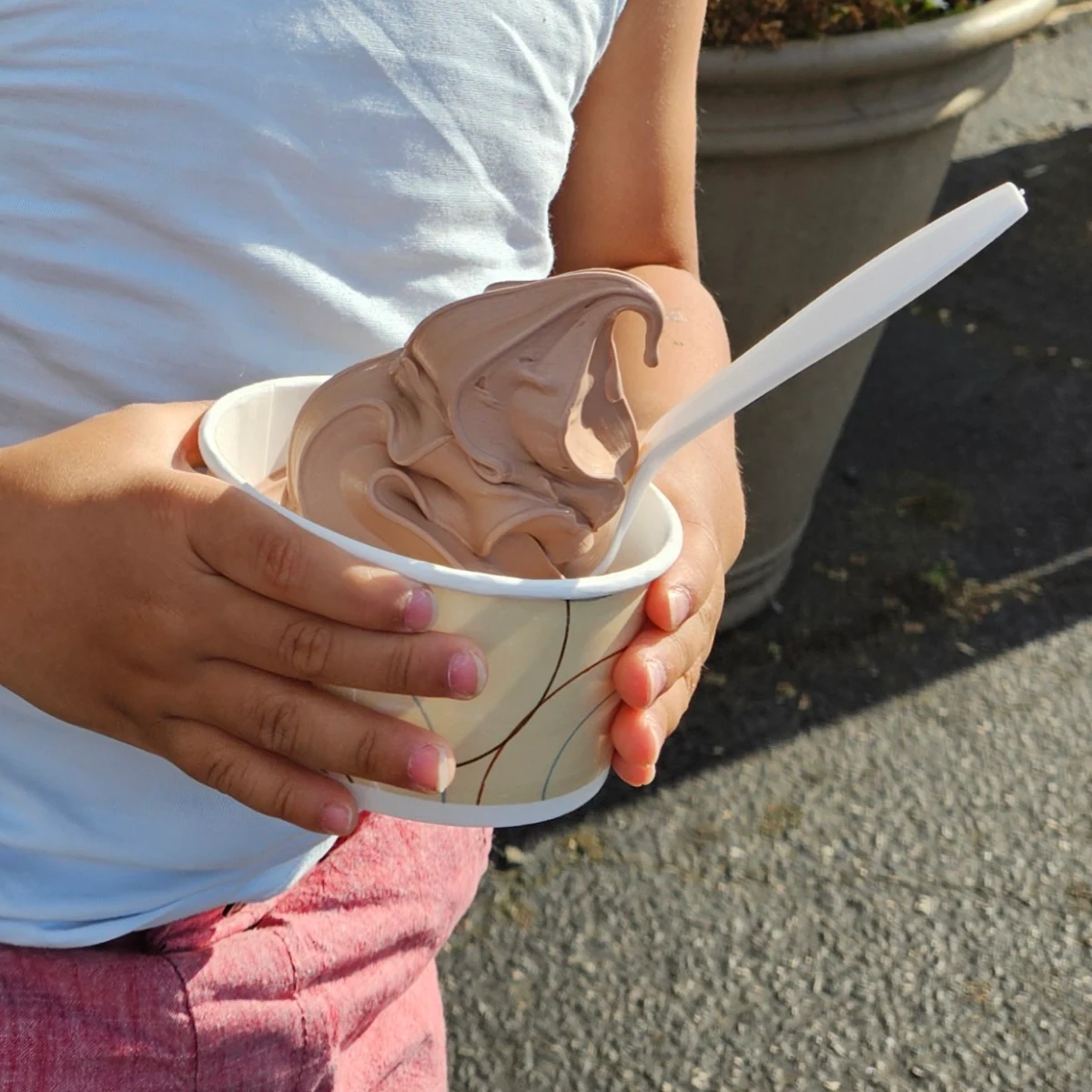 Soft Serve Chocolate Ice Cream