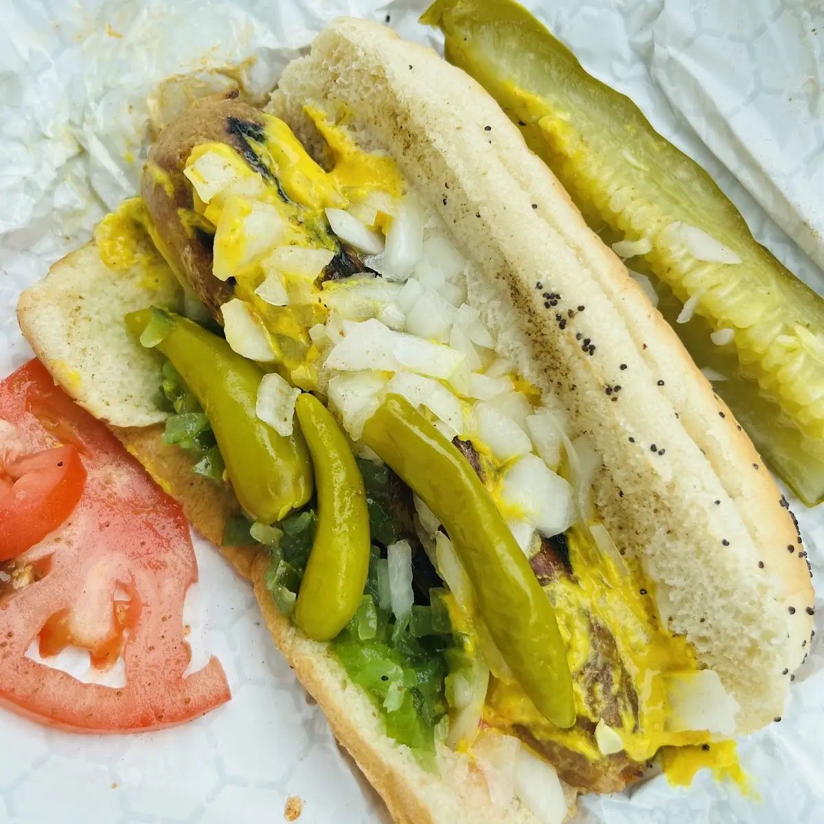 Chicago Style Hotdog