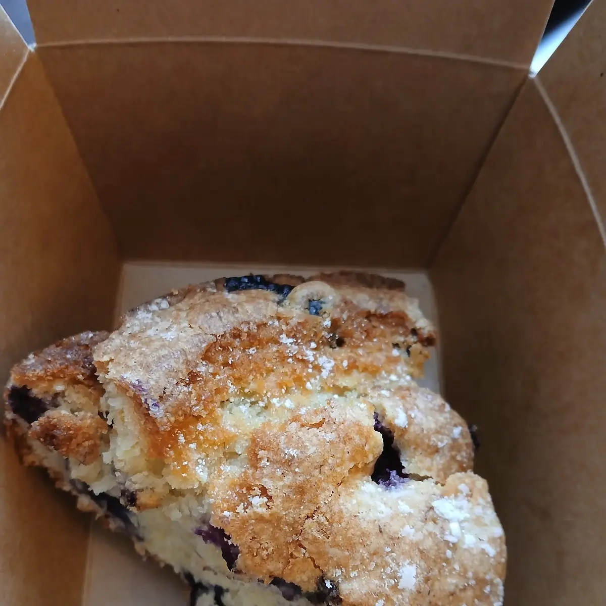 Blueberry Muffin
