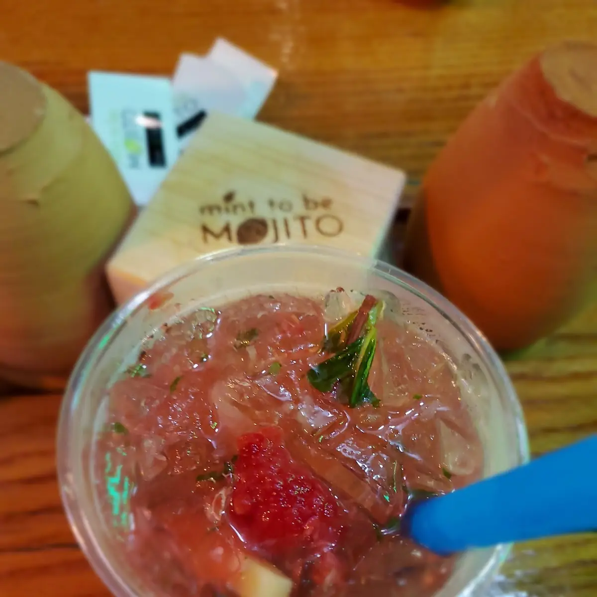Raspberry Mojito