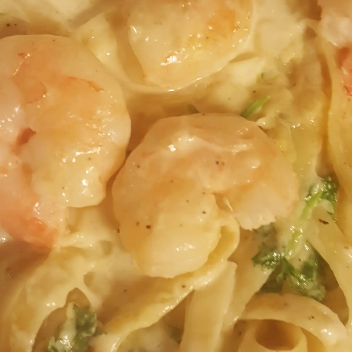 Shrimp Alfredo