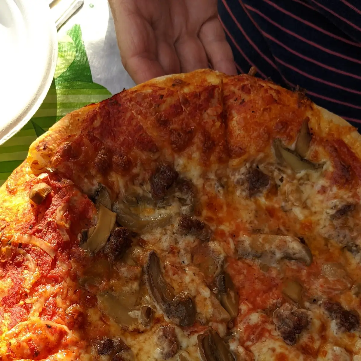 Mushroom Pizza